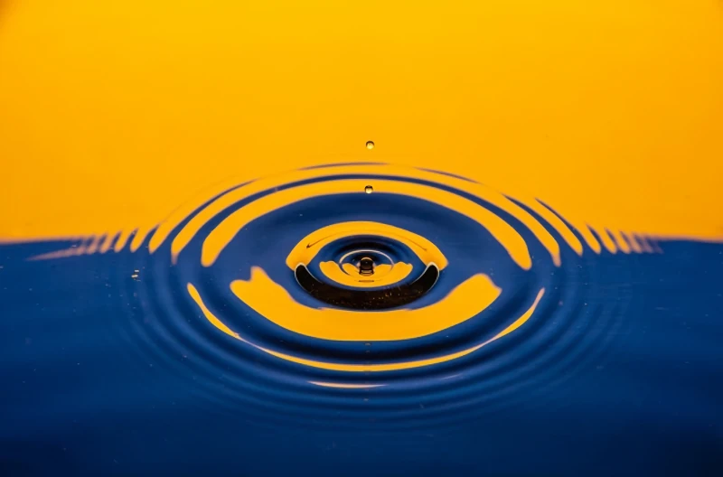 groves-careers-waves